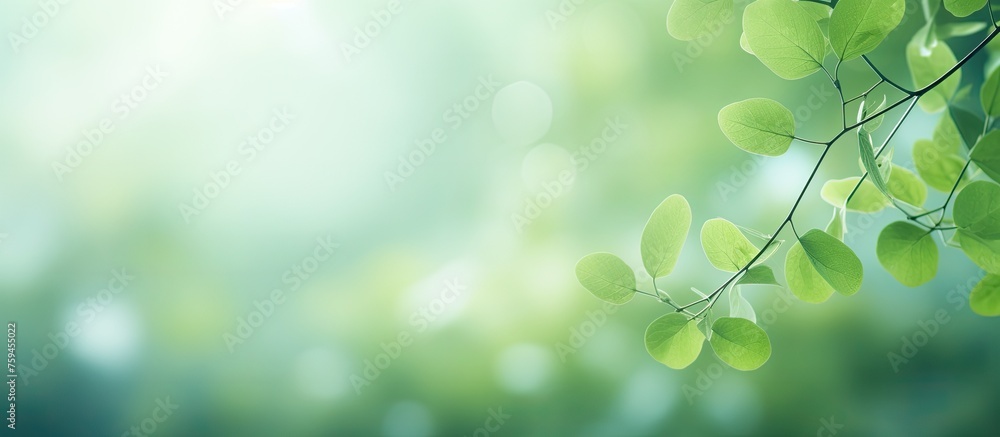 Poster a close up of a tree branch with lush green leaves against a bright blue sky on a sunny day, showcas