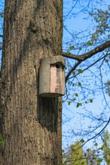 A rustic wooden nest box, providing a safe haven for birds. Handmade and hanging on a tree, it's a symbol of bird conservation and care in a natural environment.