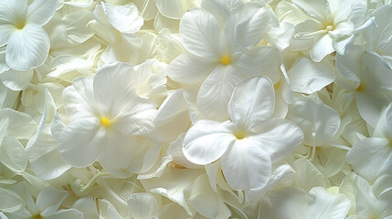 A serene and ethereal background adorned with delicate white flowers, their petals gleaming in the soft light