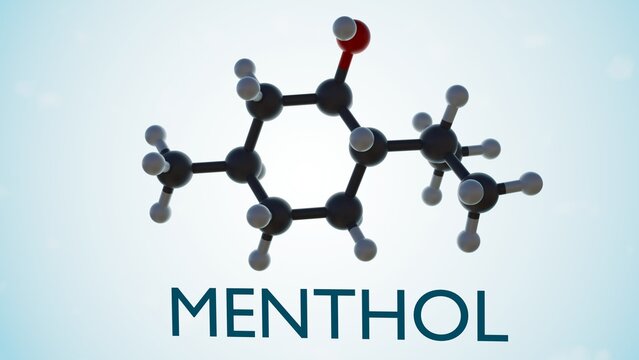3d rendering of chemical structure of menthol isolated on the light blue background
