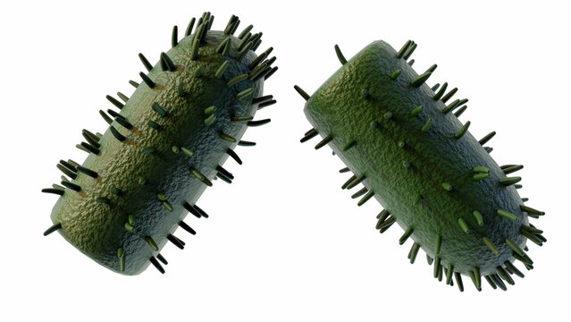 3d rendering of  lyssavirus cause fatal acute viral encephalomyelitis known as rabies.