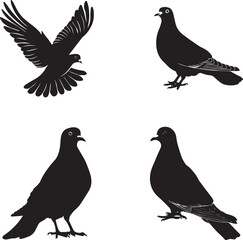 Fototapeta premium Set of Dove birds Black Silhouette 