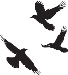 Set of Black Silhouette Birds flying 