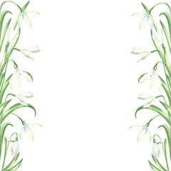 Postcard template with white snowdrops with green leaves. Spring summer background watercolor arrangement of flower, floral frame with copy space. Isolated hand drawn illustration for invitation, card