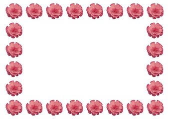 カーネーションのフレーム