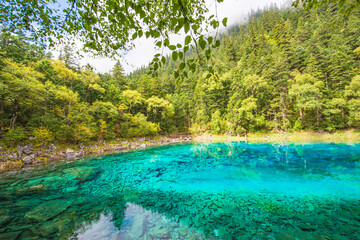 Obraz premium Beautiful view of clear lake at Pearl Beach in Jiuzhaigou, Sichuan, China