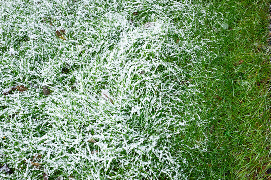 Photo of first snow of the year. Winter is coming. 