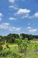 beautiful view of landscape and green view with blue sky and white cloud