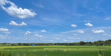 beautiful view of landscape and green view with blue sky and white cloud