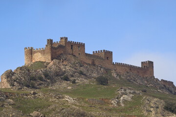Fototapeta na wymiar view of the riba de santiuste castle