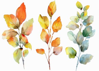 Whimsical watercolor illustration of branches with autumn-hued leaves, rendered with a translucent quality on a bright white background.