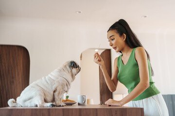 Young Asian woman in a green top playfully teasing a pug dog at home, creating a charming domestic...