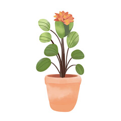 Flower in house plant pot isolated on white background. Hand drawn vector illustration.
