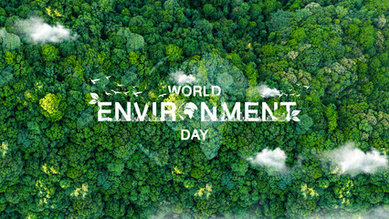 world environment day concept protect the earth green trees Being environmentally friendly. A lush...