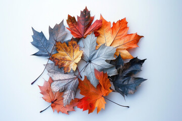 autumn leaves щт цршеу ифслпкщгтв