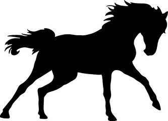  Horse Black Vector Silhouette - obrazy, fototapety, plakaty