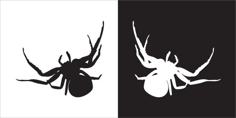 Illustration vector graphics of spider icon