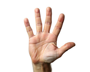 Human hand showing five fingers. Isolated on a transparent background.