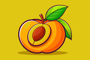 apricot fruit background is