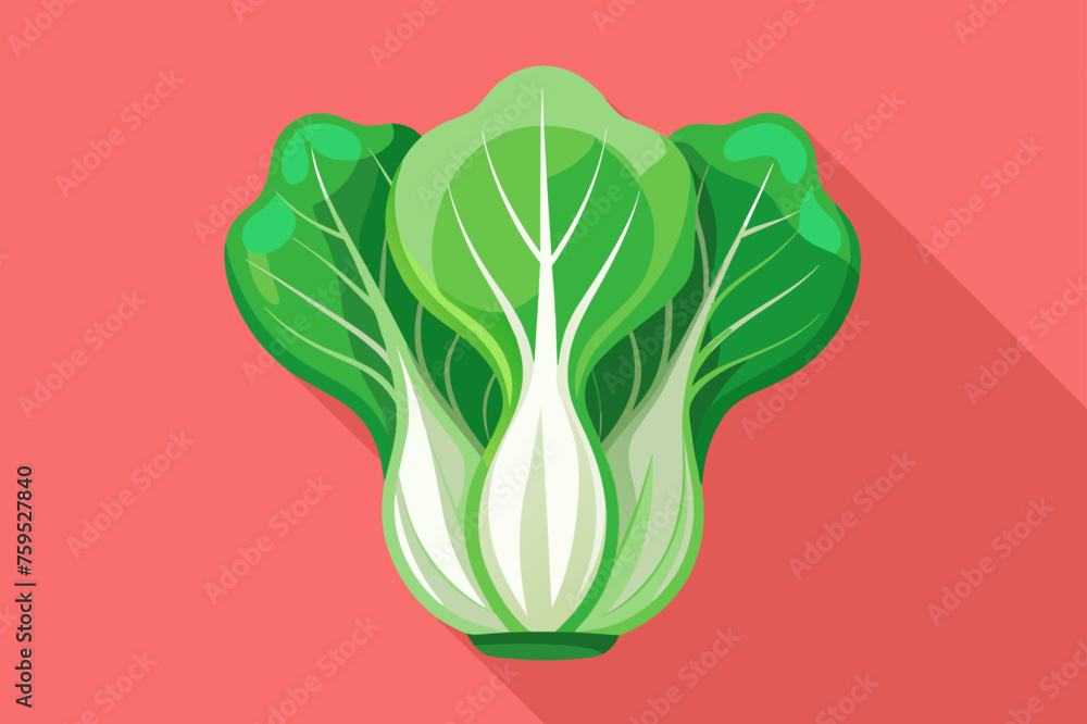 Poster bok choy vegetable background