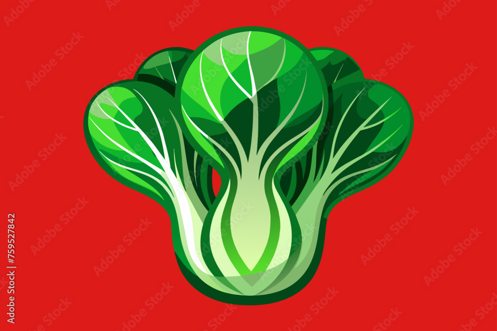 Poster bok choy vegetable background