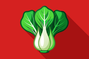 bok choy vegetable background