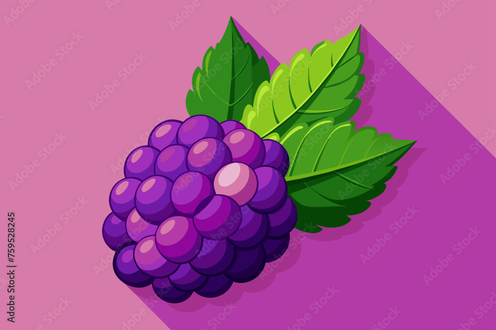 Poster boysenberry fruit background