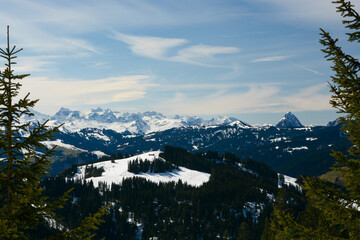 Panoramic view of central Switzerland with snow covered mountains on a spring day with fir trees in the foreground