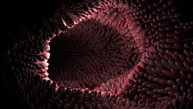 microvilli on a surface of digestive system or intestinal tract - 3D animation