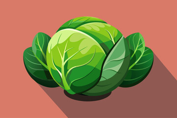 brussels sprouts vegetable background