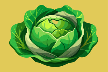 cabbage vegetable background