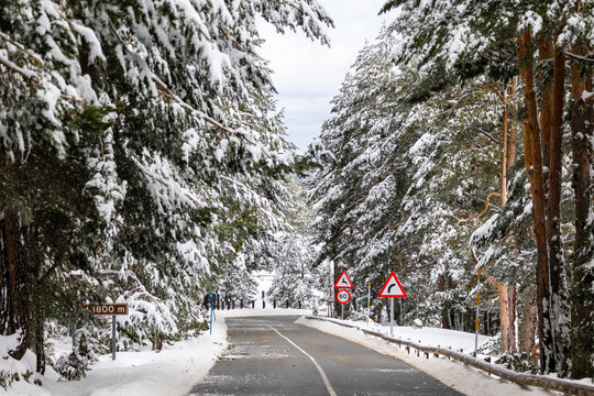 snowy landscapes of Puerto de Cotos in the Sierra de Guadarrama in Madrid in the month of March 2024