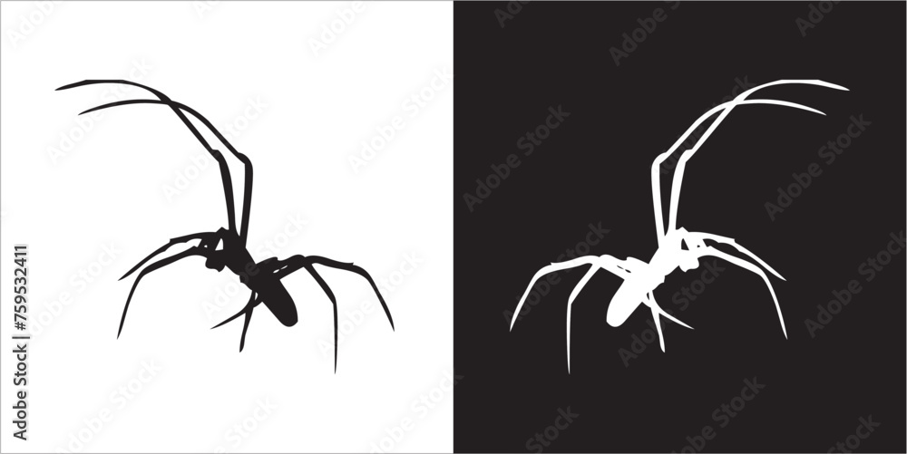 Wall mural Illustration vector graphics of spider icon