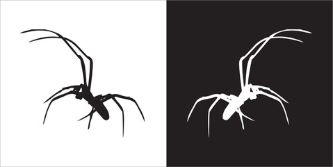 Illustration vector graphics of spider icon