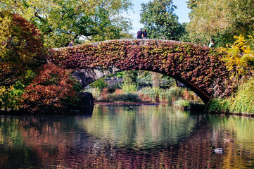 Gapstow bridge in Central Park in autumn reflecting in the water