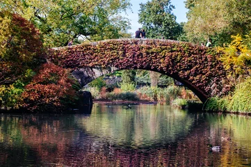 Poster de jardin Pont de Gapstow Gapstow bridge in Central Park in autumn reflecting in the water