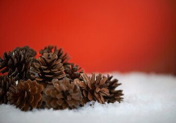 Pine cones, studio and Christmas on snow, festive season and decoration on red background. Plant, nature and symbol of holiday celebration on mockup space, object and traditional ornament on backdrop