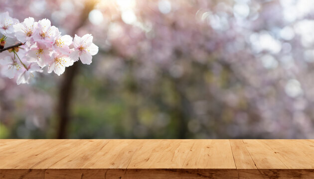 Empty wooden table top and blurred pink cherry blossoms background for display or montage your products