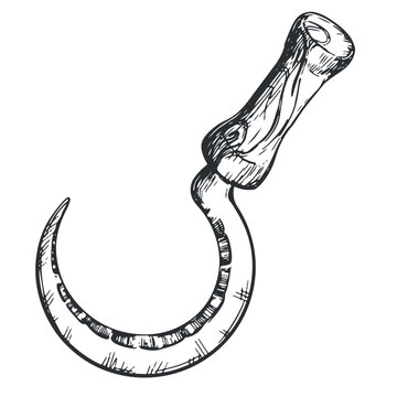 recommend clip art: Linear ink drawing of sickle icon. Vector sickle for cutting herb harvest in vintage engraving technique isolated on white background. An ancient rural instrument.