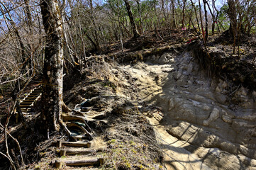 春の西丹沢　畦ヶ丸の大滝沢コース　崩落した登山道
