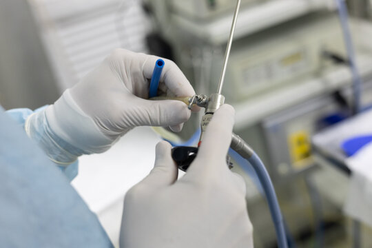 A veterinary surgeon adjusts an endoscopic instrument before starting surgery on an animal. Preparing a veterinary endoscopic surgeon for surgery. The veterinarian holds the endoscopic port.