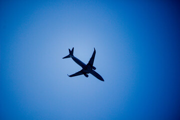 飛行機の影