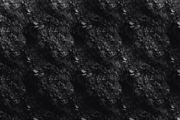 Texture bark of a tree