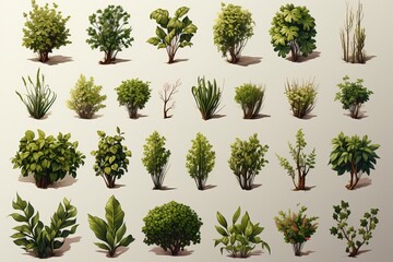 A set of a variety of leaves and bushes on a white background.