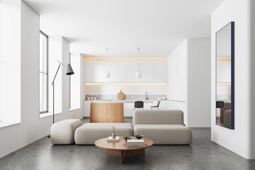 White living room and kitchen interior
