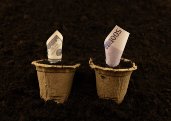 Money in pots on the background of the earth, concept of expensive cost of vegetables. Hundred dollar bills grow in seedling pots standing on loose brown soil. - Powered by Adobe