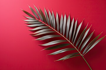 Green fern leaf on red background, one palm leaf on red background with copy space.