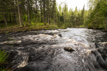 View of the river in Karelia - obrazy, fototapety, plakaty