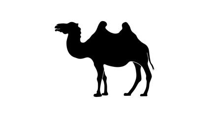 Bactrian camel, black isolated silhouette