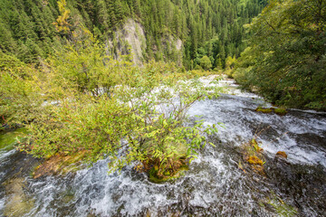 Beautiful scenery of mountains and flowing water in Jiuzhaigou Valley, Sichuan, China